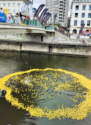 canards.jpg