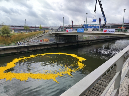 canardjaune1.jpg