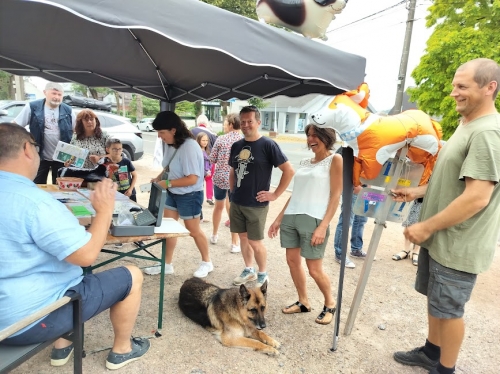 chien2.jpg