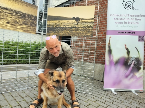 chien1.jpg