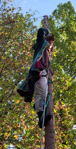 arboreo2.jpg