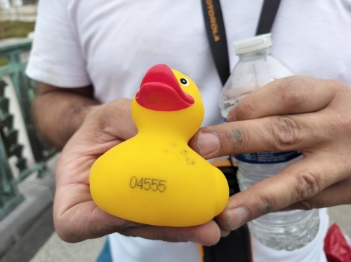 canards5.jpg