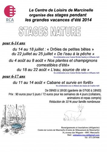 Stage_2014_Ete_Affiche-ss-coupons.jpg